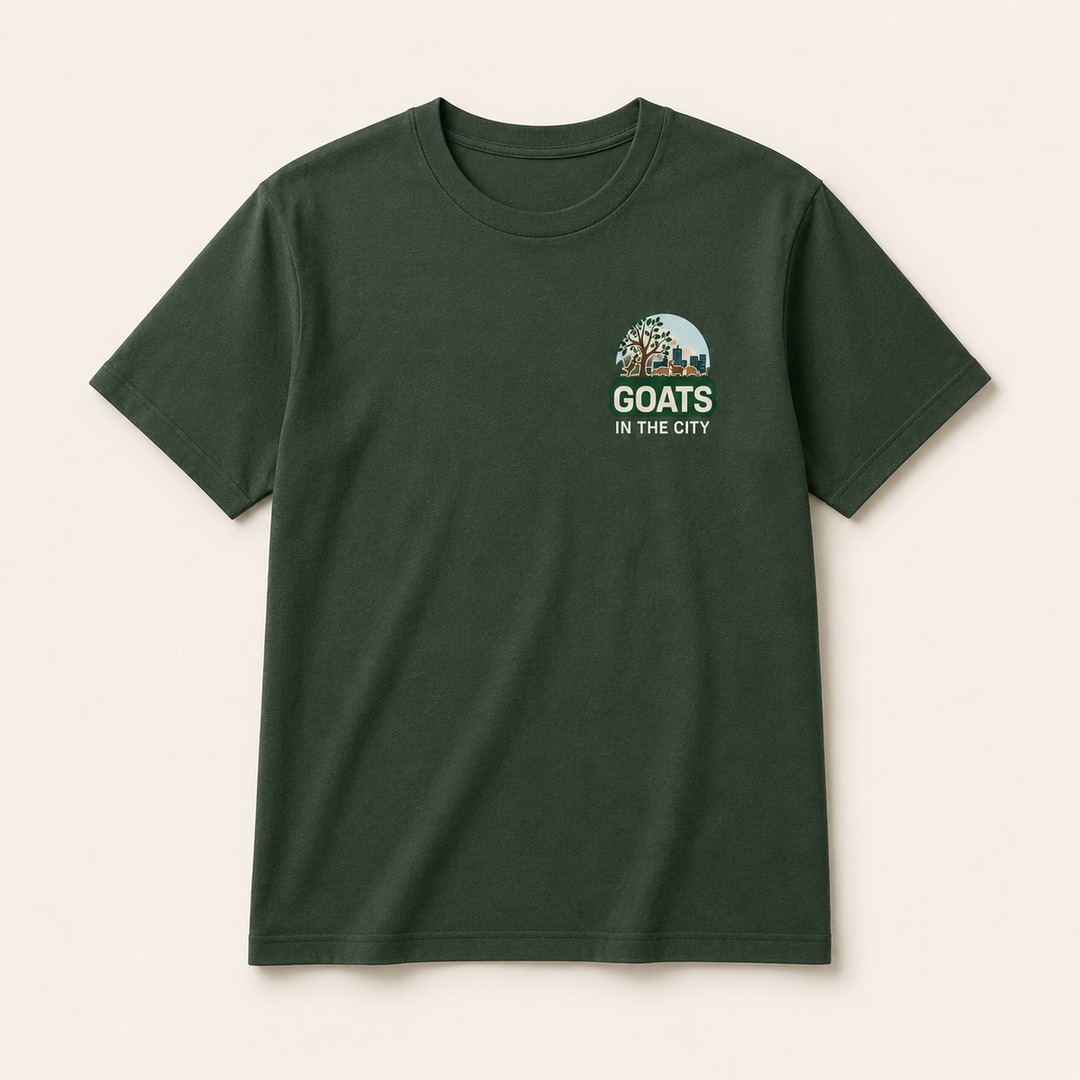 Everyday Apparel