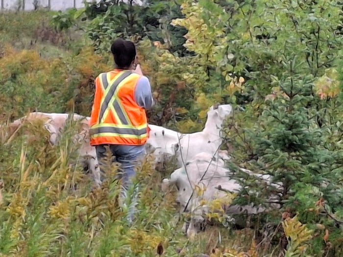 Eco-Shepherd field oversight