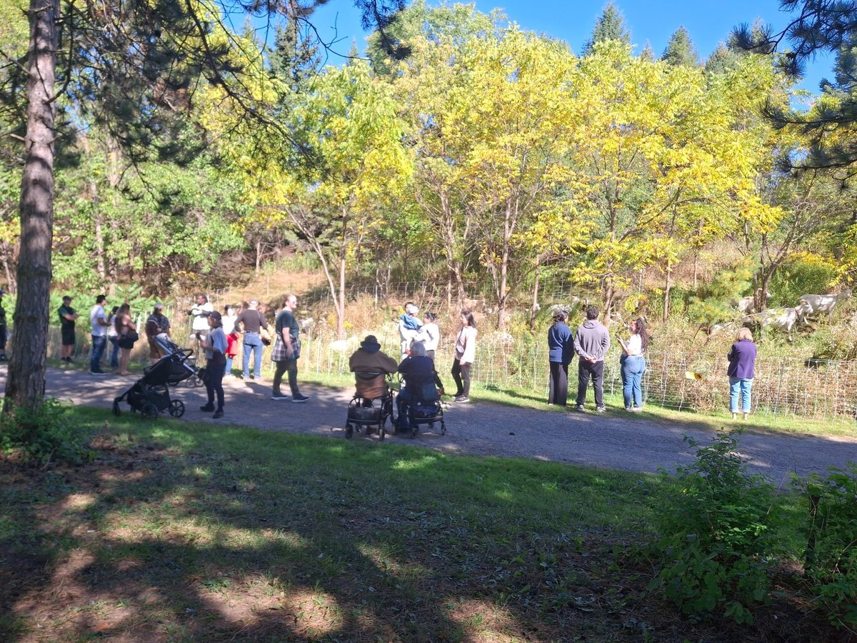 Festival visitors pause along the Erindale Park trail to watch the goats.