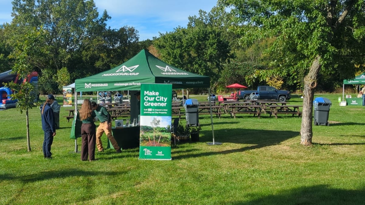 Mississauga's forestry festival entrance and information area.