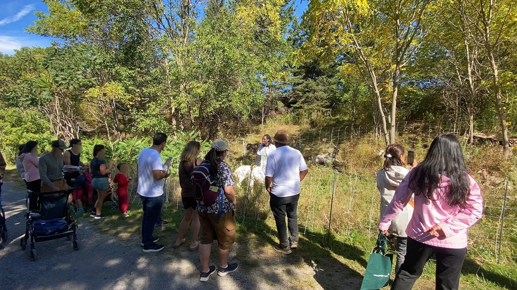 Visitors gather beside the Eco-Herd during the Forestry Fall Festival.
