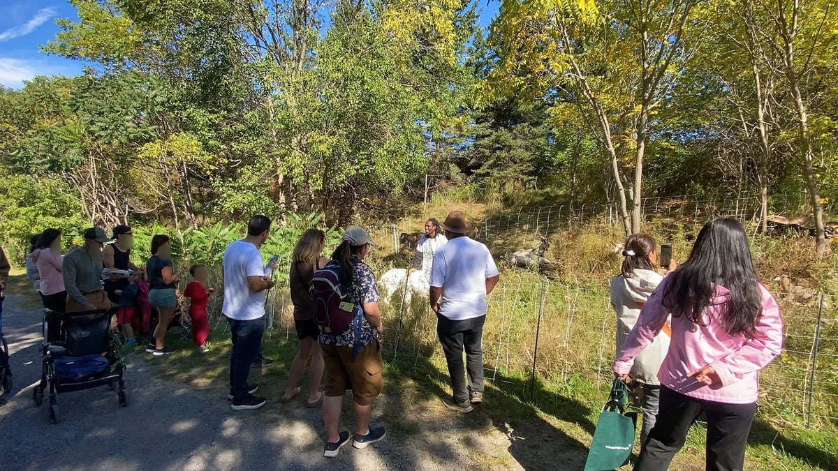 Mississauga Forestry Fall Festival — Community Engagement & Education