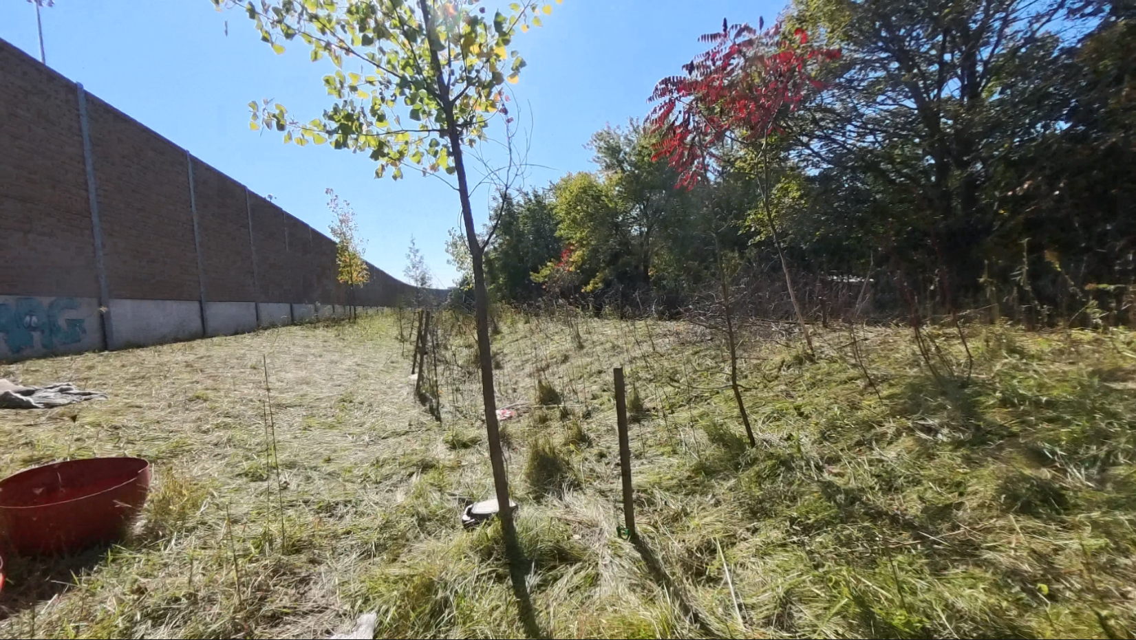 Wide view of the opened site after grazing