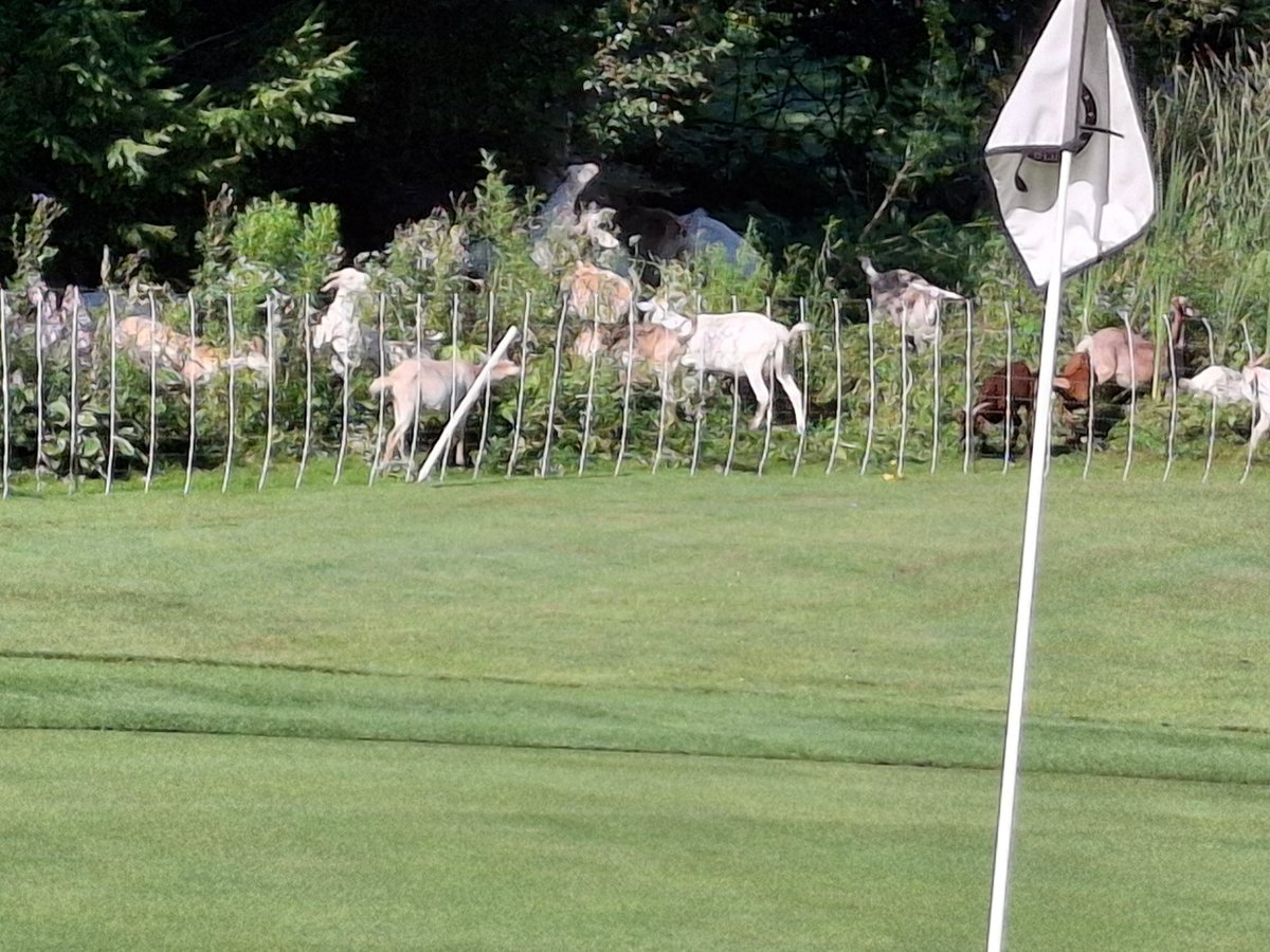 Private Golf Course — Golf Course Naturalization