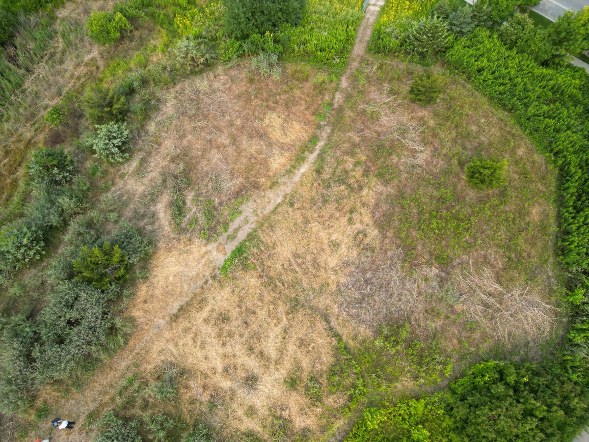 O'Connor Park Wetland — after