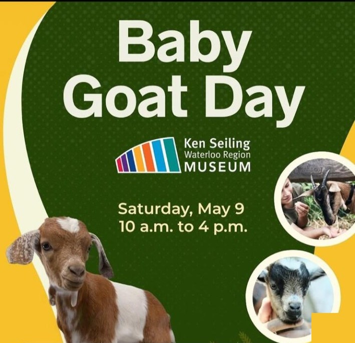 Ken Seiling Waterloo Region Museum promotional graphic for Baby Goat Day, Saturday, May 9, 10 a.m. to 4 p.m.