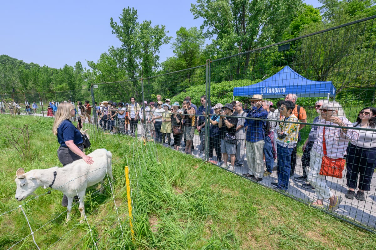 Interpretive signage and on-site education with visitors along the fence line.