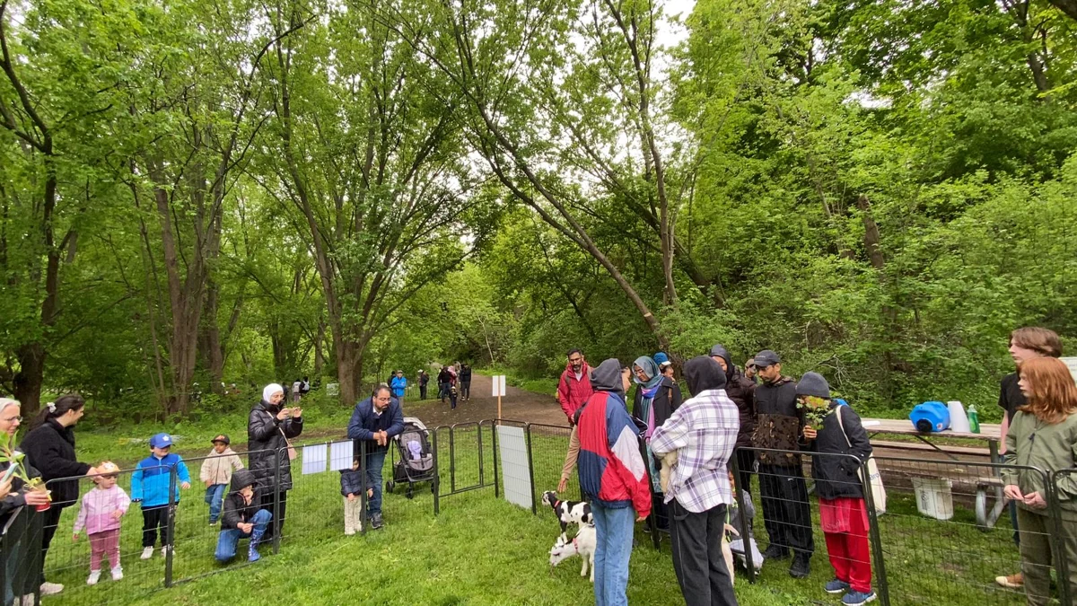 Families gather around the baby goat enclosure at the fair.