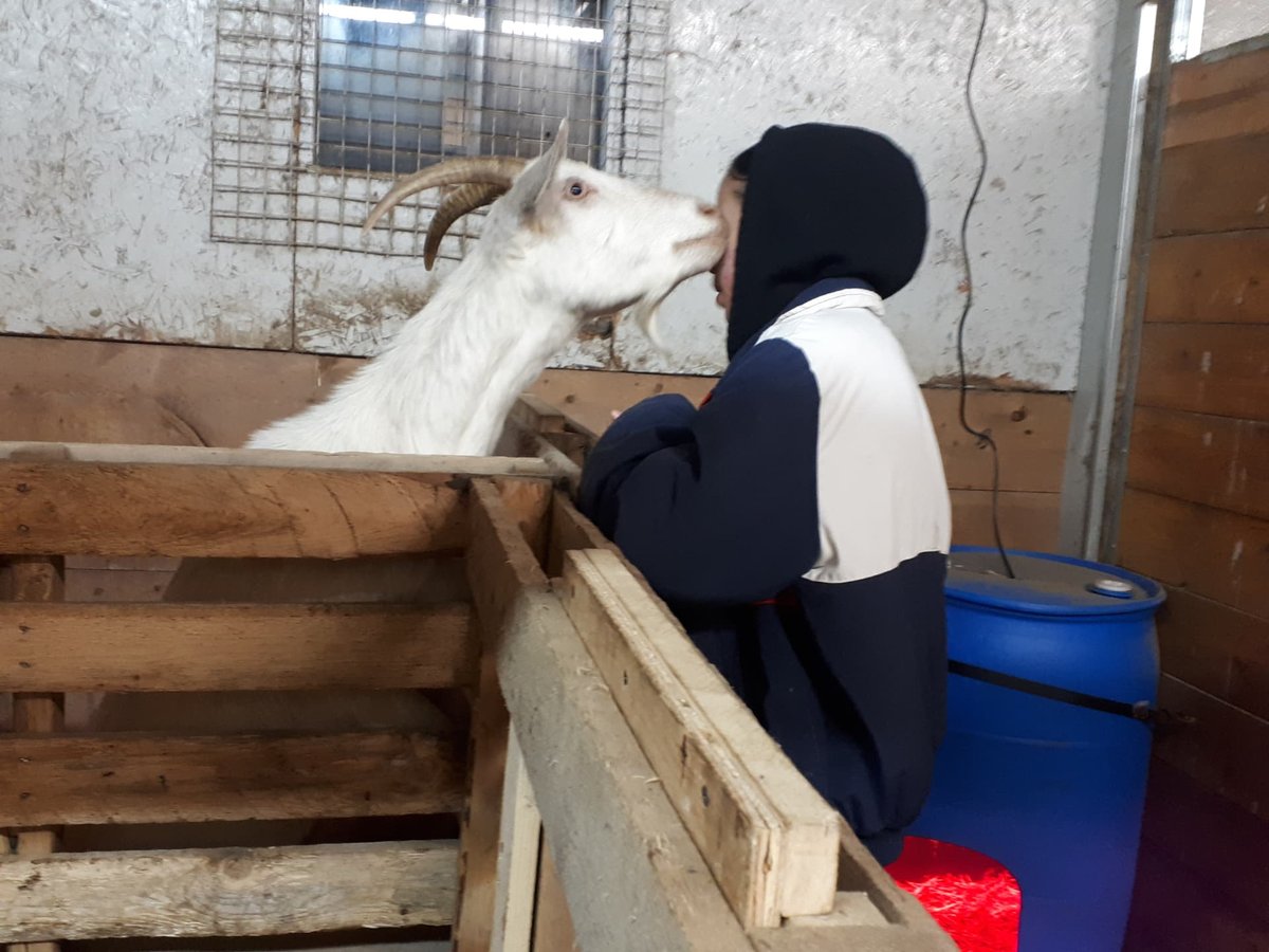 Care continuing for the herd back at the farm